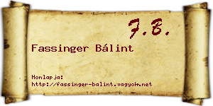 Fassinger Bálint névjegykártya